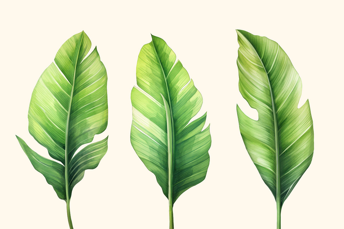 Tropical leaves patterns and element, a Decorative Illustration by irina.vaneeva (Photo 10 of 11)