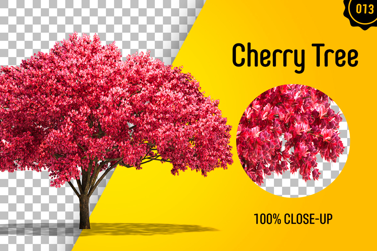 CUT OUT TREES - 60 PCS BUNDLE, a Packaging Mockup by 3DSTORE (Photo 14 of 63)