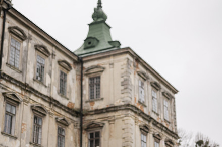 Mother with four kids visit Pidhirtsi Castle, Lviv region, Ukrai, a Person Photo by AS photostudio