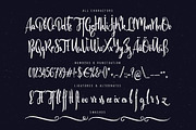 Scratches calligraphic font, a Script Font by Gleb Guralnyk (Thumbnail 4 of 5)