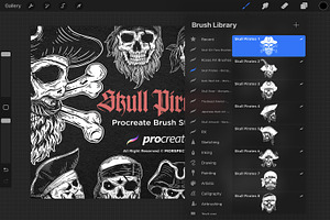 15 Dark Skull Pirate Procreate Brush