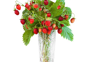 Bouquet of wild strawberry isolated, a Nature Photo by BOOCYS