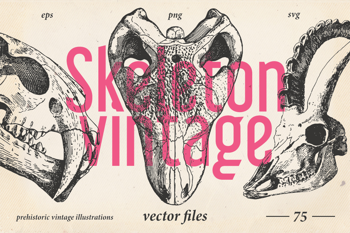 Vintage Bundle 2500+ Free Update, an Animal Illustration by Retro Machine (Photo 14 of 170)
