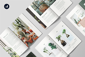 Planty Magazine