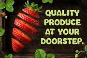 Avocad, a Script Font by FreshTypeINK (Thumbnail 3 of 8)
