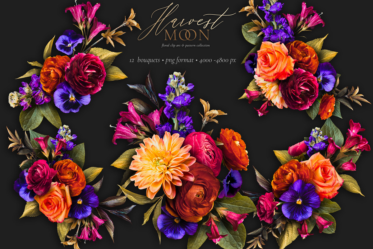 Harvest Moon Floral Clip Art Kit, an Object Graphic by Eclectic Anthology (Photo 3 of 21)