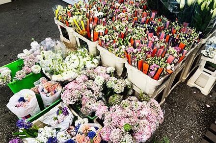 Colorful assortment of fresh flowers displayed at a vibrant outdoor market, a Photo by AS photostudio