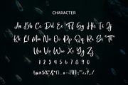 Los Doel Brush Script Font, a Script Font by Giant Design (Thumbnail 10 of 10)