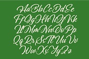 Greatesa Brought Bold Calligraphy, a Script Font by Letterena Studios Script (Thumbnail 15 of 20)