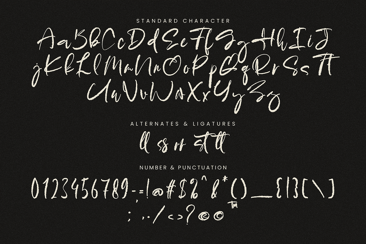 Enpestimos is an expressive handwrit, a Handwritten Font by MJB Letters (Photo 10 of 10)