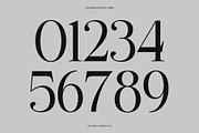 Rasika – Elegant Serif Font, a Serif Font by Craft Supply Co. (Thumbnail 5 of 8)