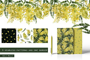 Mimosa. Yellow watercolor flowers., an Illustration by Noli Molly Store (Thumbnail 5 of 6)