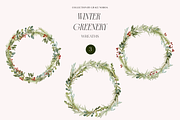 Winter Christmas Greenery Collection, a Decorative Illustration by Grace Noboa Illustrations (Thumbnail 4 of 8)