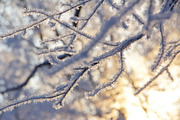 Cosy winter. Bundle of 14 images., a Background Photo by lisa870 (Thumbnail 5 of 17)