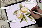 Ultimate Sketch Procreate Brushes, a Brush Add-On by owlasya (Thumbnail 6 of 6)