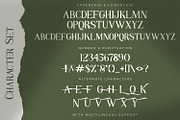 JHINBEY - Elegant Serif Font, a Serif Font by StringLabs (Thumbnail 7 of 8)