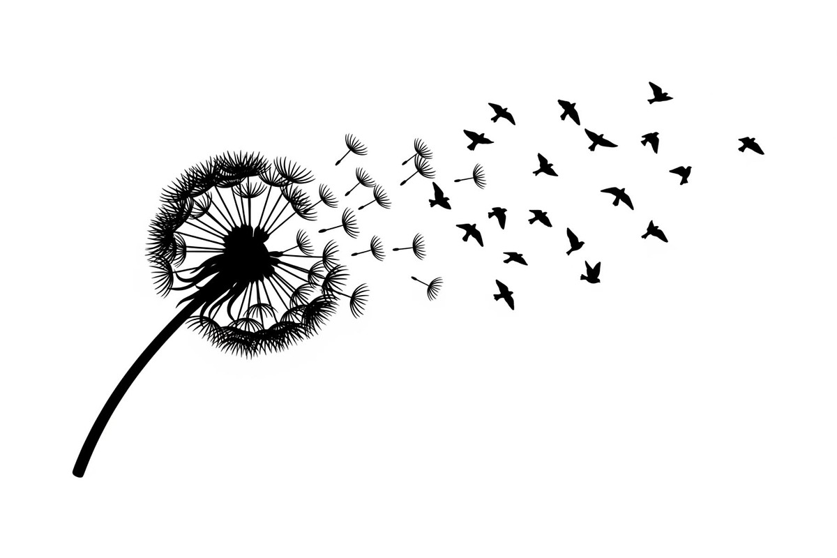 Dandelion Blow Silhouette Bundle, an Illustration by yasushie (Photo 24 of 31)