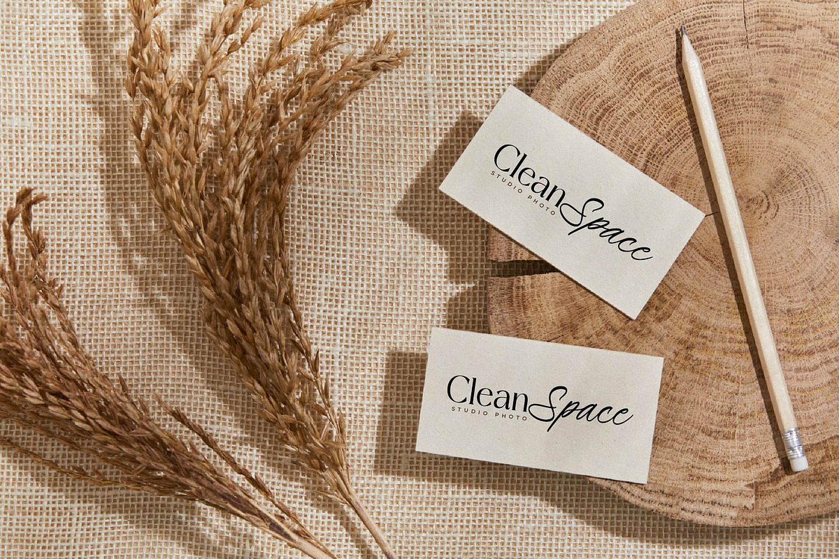 Primrose Essentials Font Duo, a Serif Font by Storytype Studio (Photo 6 of 15)