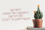 Foxes Typeface, a Serif Font by Shift Studios (Thumbnail 8 of 8)