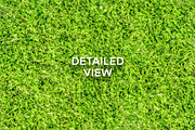20 Seamless Grass Texture Pack, a Texture Graphic by Top Textures (Thumbnail 4 of 9)