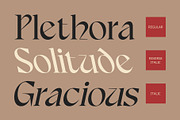 CS Valcon – Uncial Font, a Serif Font by Craft Supply Co. (Thumbnail 3 of 8)