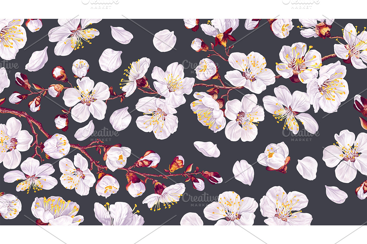 Apricot Branches Big Floral Set, an Illustration by MarynaPetrovska (Photo 21 of 23)