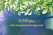 Watercolor acacia, an Illustration by Evgeniia Zagreeva (Thumbnail 2 of 3)