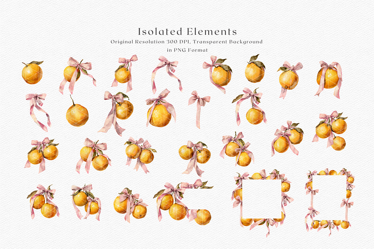 Watercolor Oranges and Bows, a Decorative Illustration by ThaismotaCreativeCo (Photo 8 of 10)