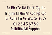 Cariles - Duo Font Sans and Serif, a Serif Font by RagamKata (Thumbnail 10 of 10)