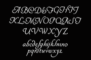 Rosa Engraver - Vintage Script Font, a Script Font by Lilithcollageart (Thumbnail 11 of 12)