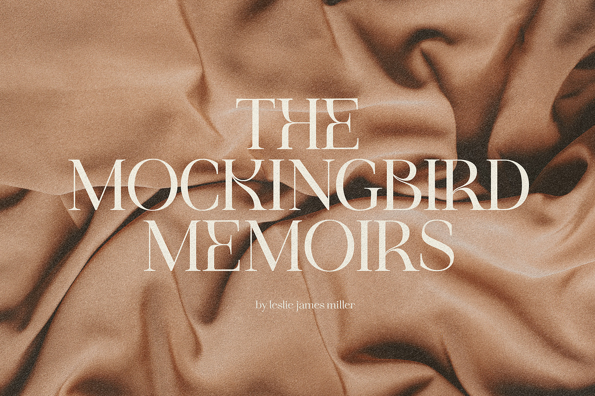 Idealist Serif, a Serif Font by Nicky Laatz (Photo 25 of 34)
