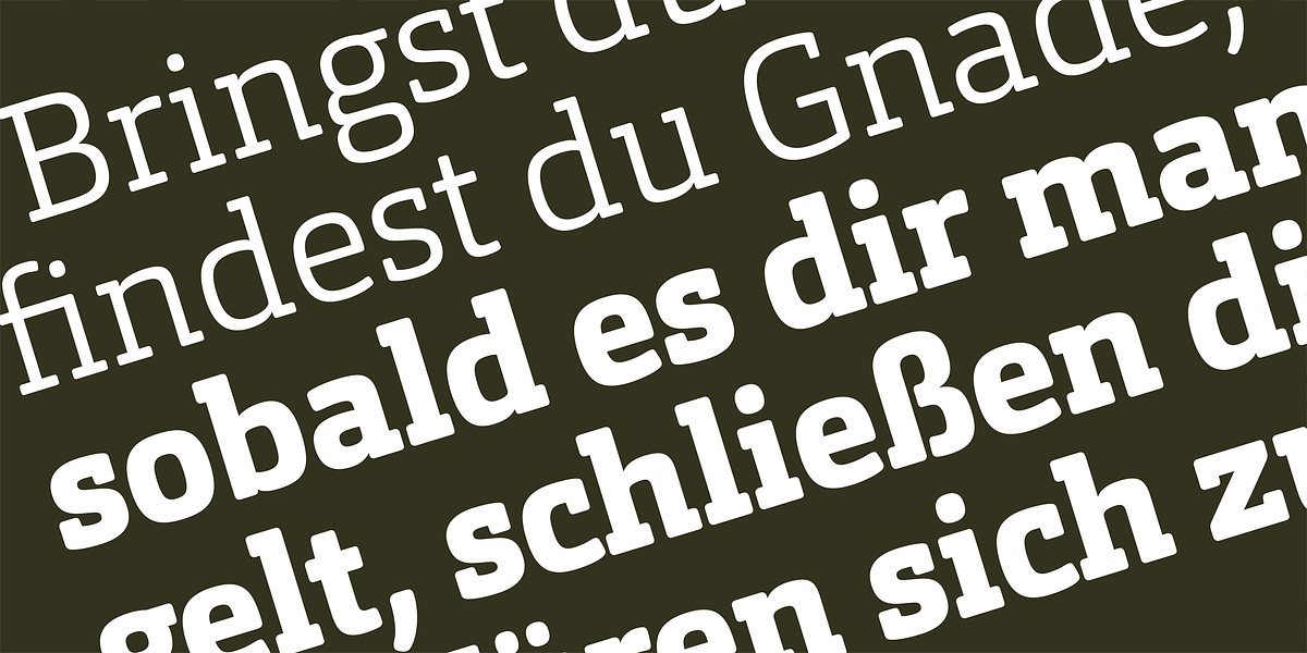 Orgon Slab, a Slab Serif Font by Hoftype (Photo 22 of 30)