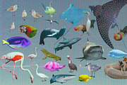 Miami Beach Collage Elements, an Object Graphic by nadispasibenko (Thumbnail 6 of 31)