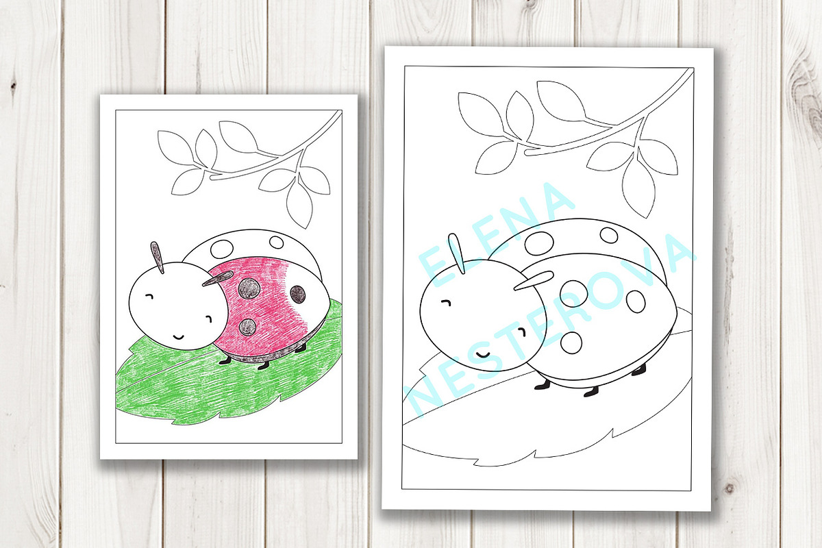 Coloring Pages with insects, an Illustration by Elena Nesterova (Photo 4 of 7)