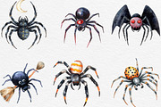Halloween Clipart Spider Clipart PNG, an Illustration by Black Bird Studio (Thumbnail 4 of 6)