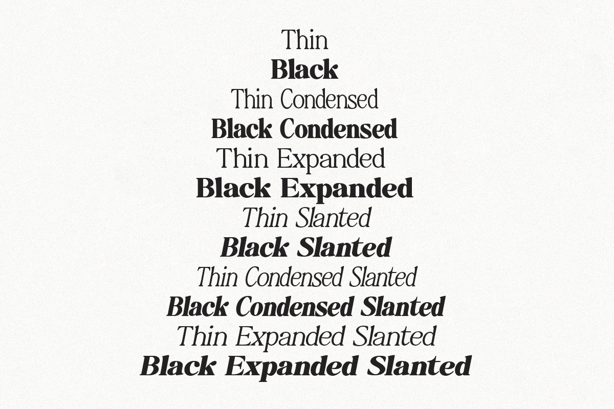 Baskerville Display Pro, a Serif Font by Positive TypeFoundry (Photo 8 of 23)