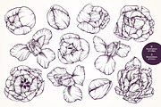Vector set of linear flowers graphic, a Decorative Illustration by Color and Decor (Thumbnail 2 of 5)