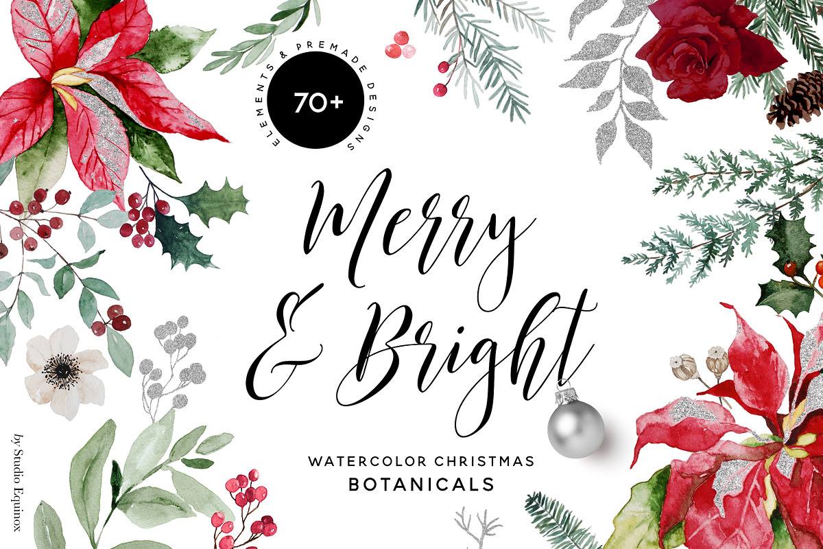 Merry & Bright Watercolor Botanicals, an Illustration by studioequinox (Photo 1 of 10)