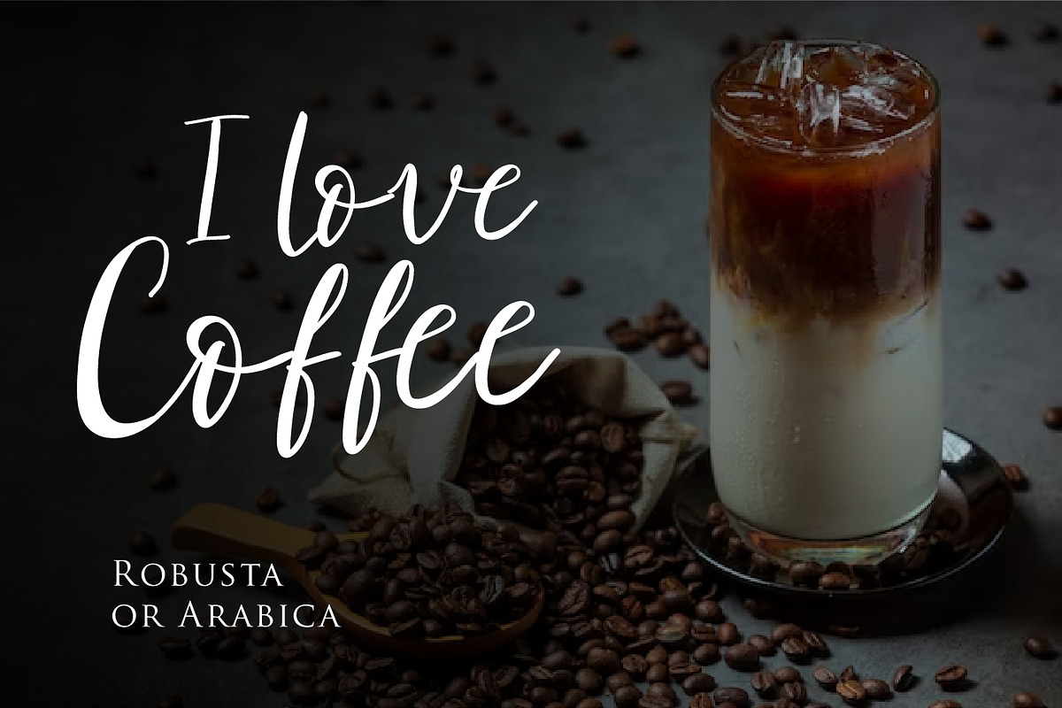 Astorica - Modern Script fonts, a Script Font by Nahar_std (Photo 4 of 7)