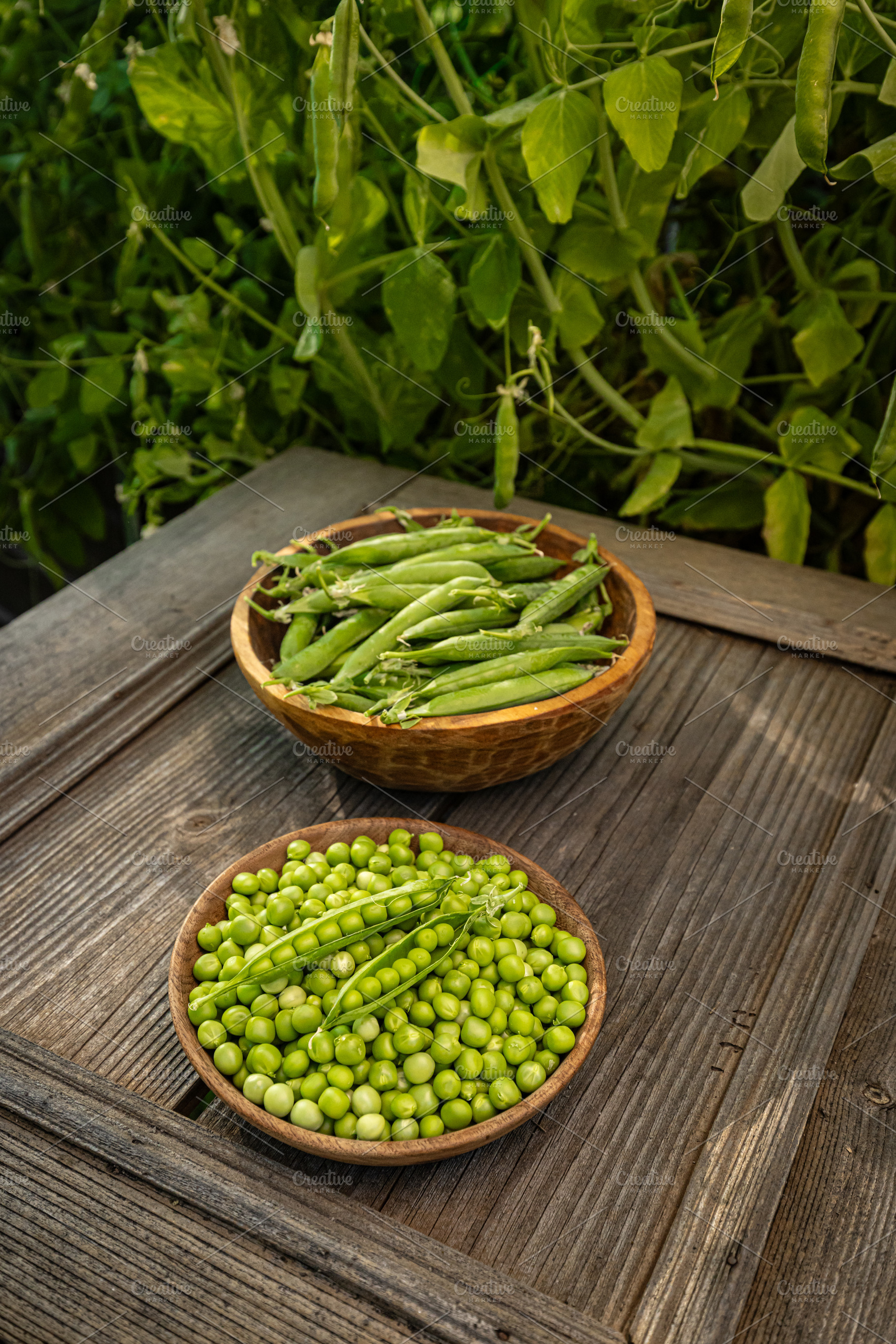 Fresh, ripe green peas, a Photo by Grafvision photography