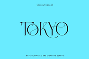 Type Ultimate - serif logo font, a Serif Font by VP Fonts (Thumbnail 12 of 24)