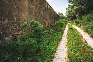 Old wall by rural dirt road, an Architecture Photo by SkyNext