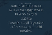 Mostlight Modern Alternate Serif, a Serif Font by Letterena Studios (Thumbnail 13 of 15)
