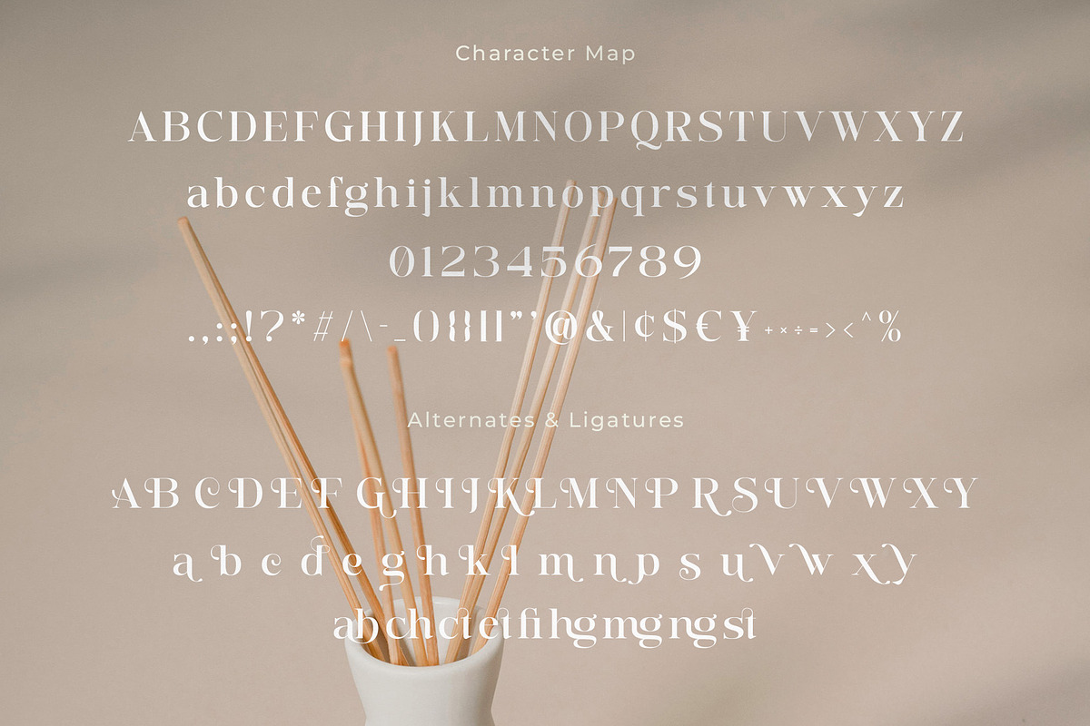 Sabling - Aesthetic Serif Font, a Serif Font by Jimoji (Photo 11 of 11)