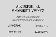 Trenquix | Stylish Modern Serif Type, a Serif Font by Artdez (Thumbnail 5 of 5)