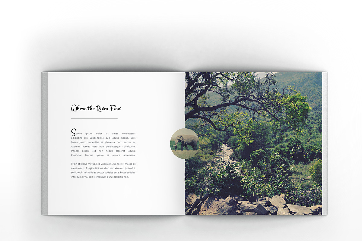 Multipurpose Square Clean Brochure, a Brochure Template by Incools Stokie (Photo 5 of 14)