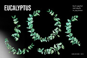 AUSTRALIA FAIR Elements, a Decorative Illustration by Dana Designs (Thumbnail 4 of 14)