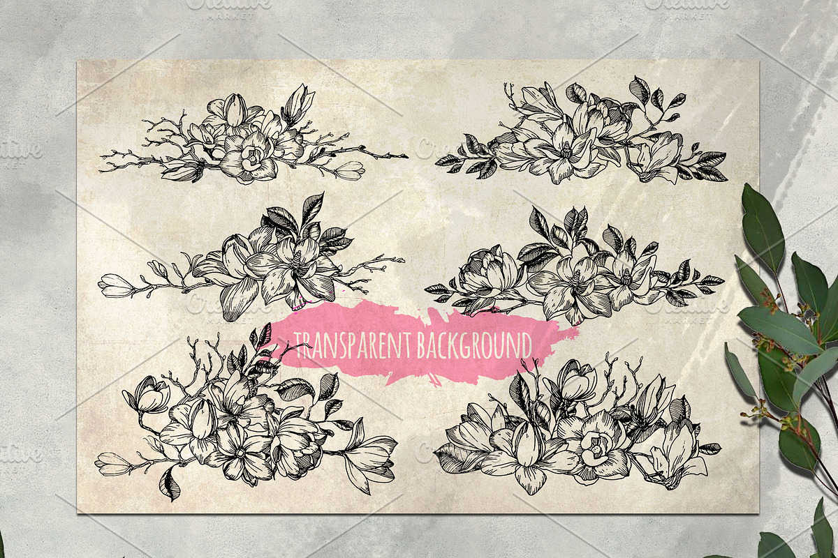 Magnolia flowers. Engraving style., a Decorative Illustration by Alena Kaz (Photo 10 of 12)