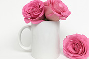 Roses and Hearts Stock Photo Bundle, a Photo by Hudson Lark Studio (Thumbnail 12 of 17)
