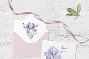 Iris Flowers, a Decorative Illustration by Vasmila (Thumbnail 9 of 9)